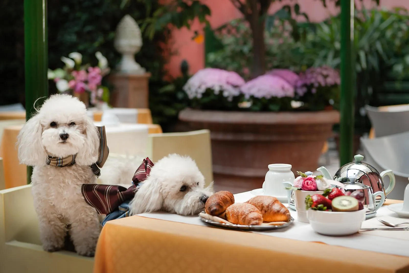 Hotel Palazzo Dal Borgo Florença